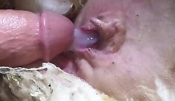 Animal sex and Zoo XXX porn