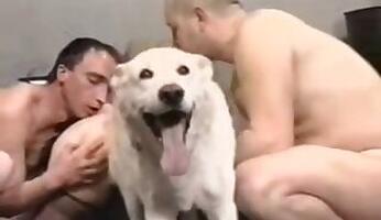 Busty animal sex