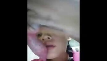 Doggy animal porn