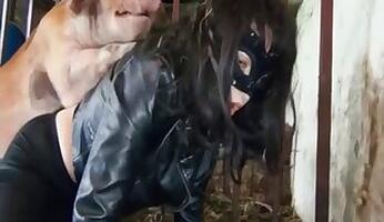 Japanese animal porn