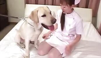 Japanese animal tube