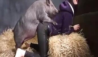 Milf animal sex