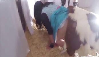 Outdoor bestiality porn