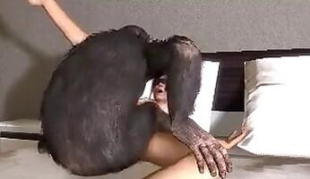 Zoo porno and bestiality video