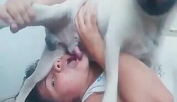 Sucking animal sex