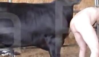 Wife animal sex
