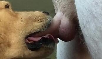 XXXVideosZoo