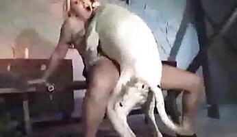 Zoofilia Porn video