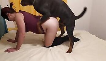 Free Zoo Sex Tube