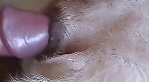 Bestiality porn video