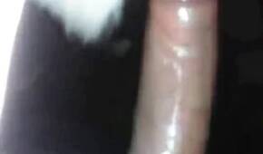 Zoo Sex Lol