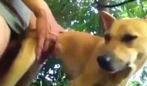 Zoo Sex Videos